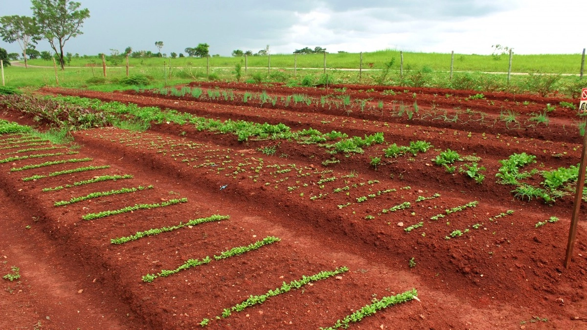 9ª foto do condomínio