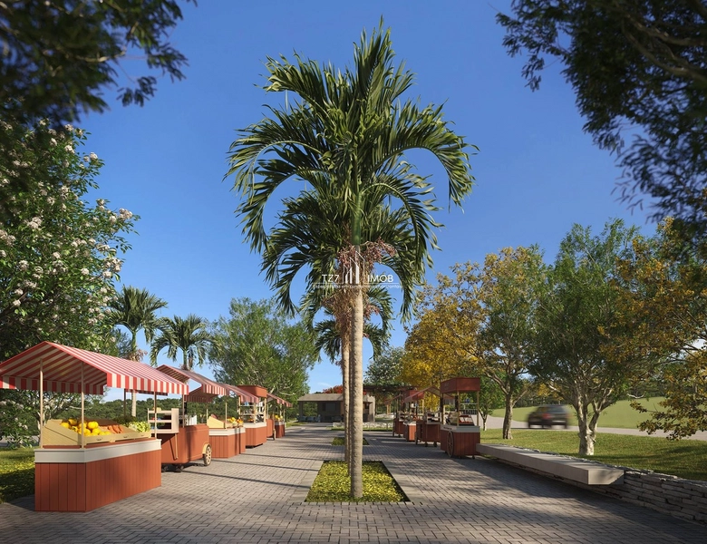 Jardins Zurique - Lote com 493,38 m², parte alta do condomínio.: 3ª foto da galeria de imagens do imóvel