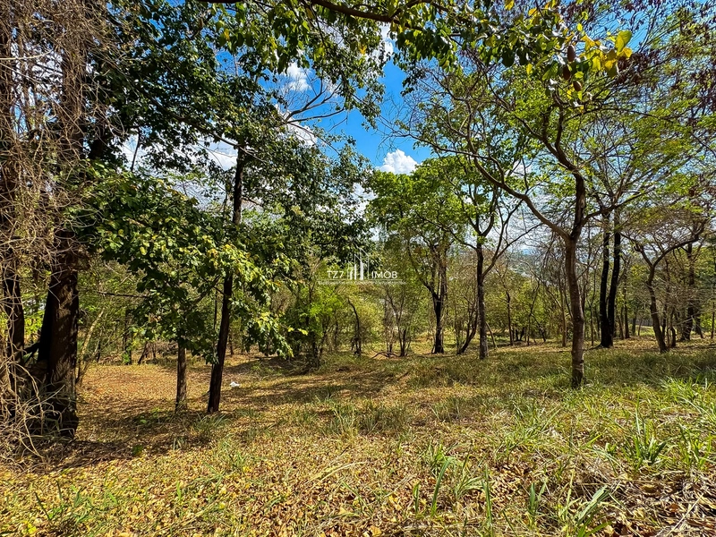Ágio lote aldeia do Vale - Lote com excelente vista, projeto aprovado.: 67ª foto da galeria de imagens do imóvel