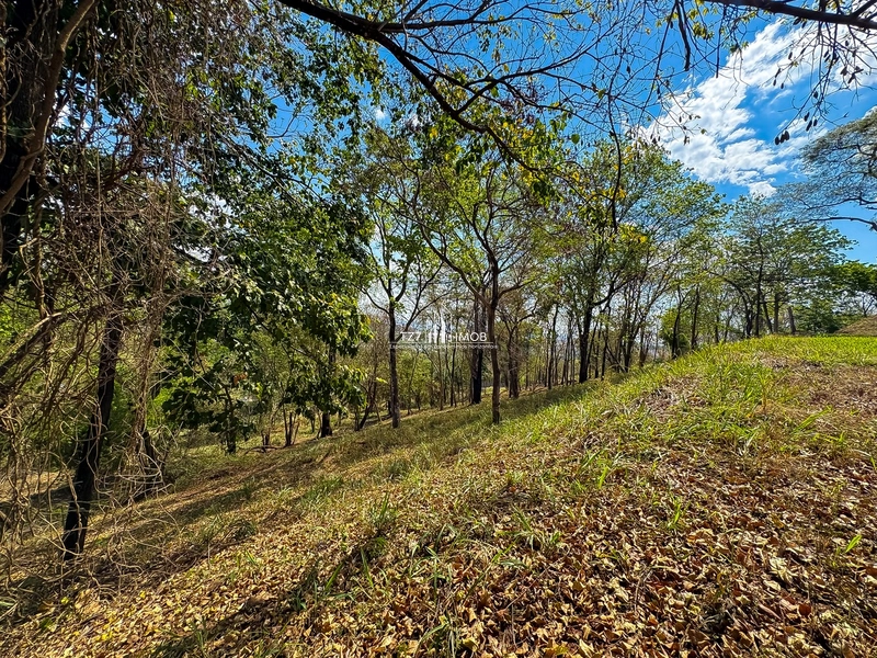 Ágio lote aldeia do Vale - Lote com excelente vista, projeto aprovado.: 66ª foto da galeria de imagens do imóvel