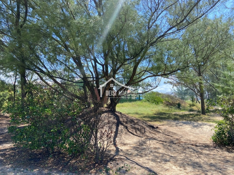 TERRENO DE ESQUINA EM CAPÃO NOVO VILLAGE: 44ª foto da galeria de imagens do imóvel