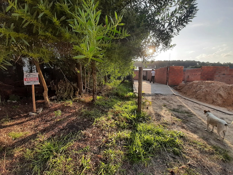 Terreno a venda em Capão Novo Village: 2ª foto da galeria de imagens do imóvel
