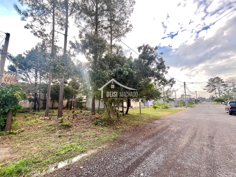 Terreno a venda em Capão Novo Village