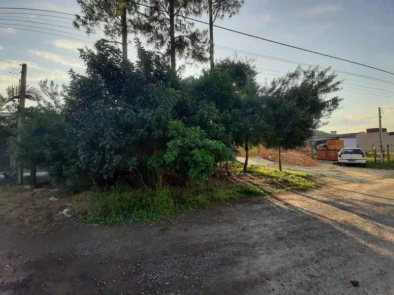 Terreno a venda em Capão Novo Village: 3ª foto da galeria de imagens do imóvel