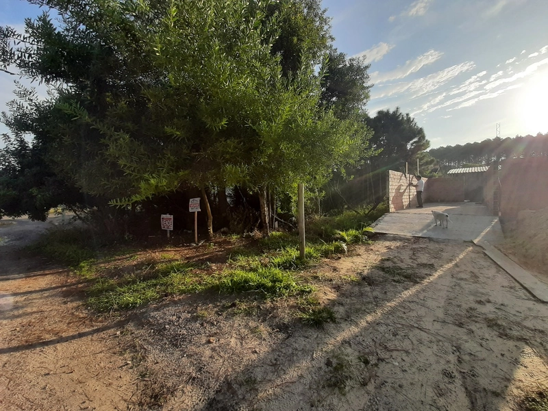 Terreno a venda em Capão Novo Village: 4ª foto da galeria de imagens do imóvel