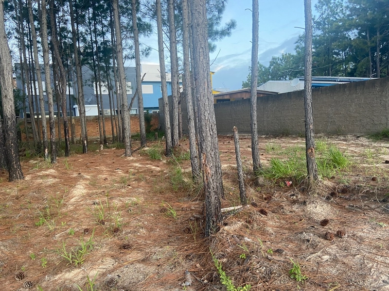 Terreno a venda com valor abaixo do mercado: 2ª foto da galeria de imagens do imóvel