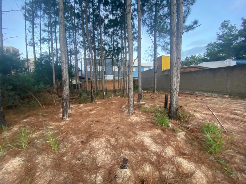 Terreno a venda com valor abaixo do mercado: 1ª foto da galeria de imagens do imóvel