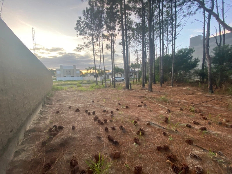 Terreno a venda com valor abaixo do mercado: 3ª foto da galeria de imagens do imóvel