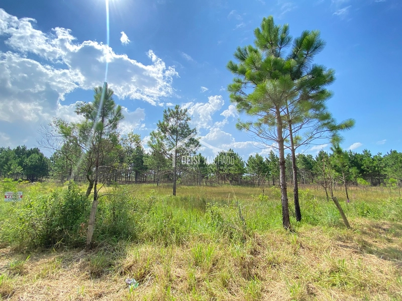 : 1ª foto da galeria de imagens do imóvel