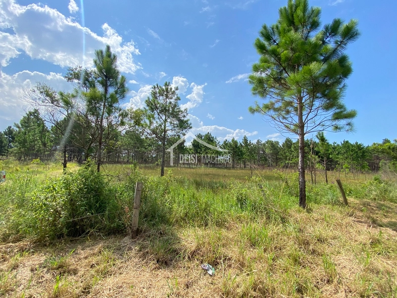 : 3ª foto da galeria de imagens do imóvel