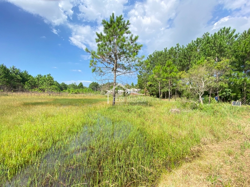 : 2ª foto da galeria de imagens do imóvel