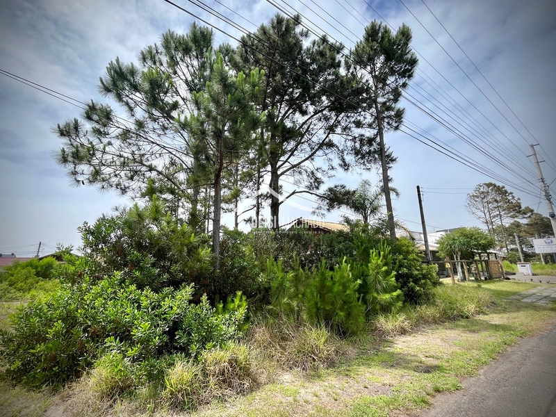 Terreno em Ótima Localização em Capão Novo Village!: 2ª foto da galeria de imagens do imóvel