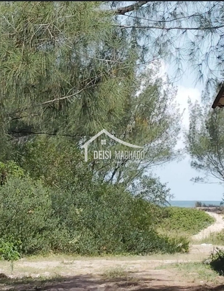 : 6ª foto da galeria de imagens do imóvel