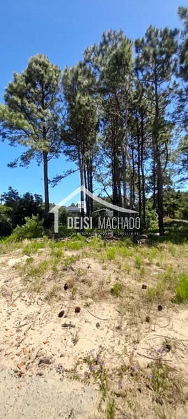 : 6ª foto da galeria de imagens do imóvel