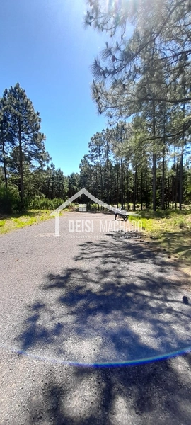 : 7ª foto da galeria de imagens do imóvel