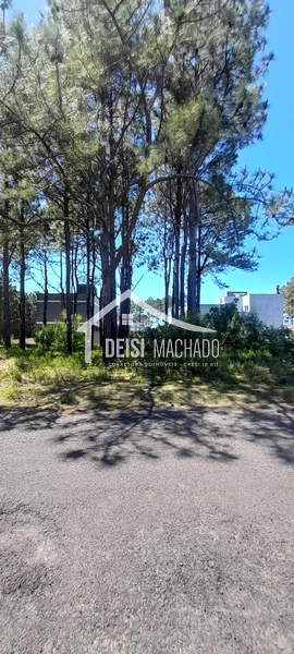 : 5ª foto da galeria de imagens do imóvel