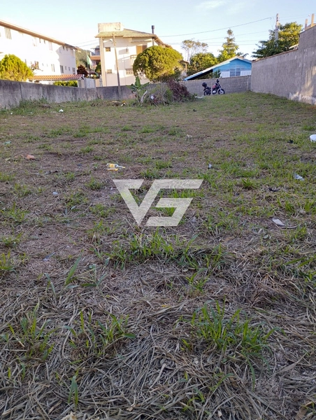 Terreno Santinho 481,05m²: 7ª foto da galeria de imagens do imóvel