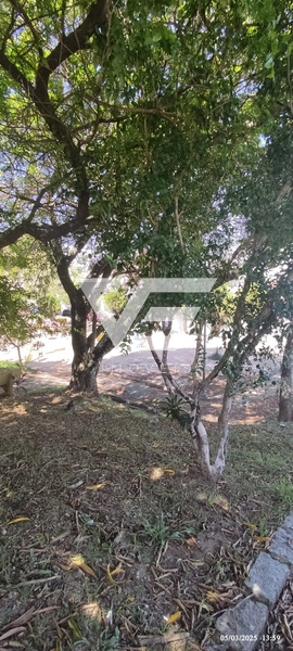 Residência com excelente conservação com 280m privativos em São José: 47ª foto da galeria de imagens do imóvel