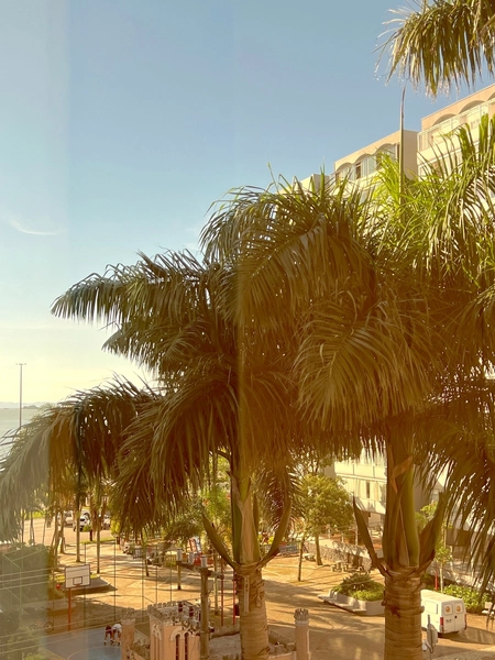 Apartamento ao lado do colégio Catarinense, com 3 suítes - 2 vagas: 2ª foto da galeria de imagens do imóvel