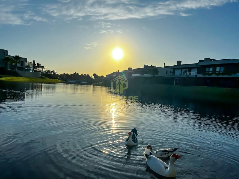 Casa tem aquele negócio que te faz voltar, é isso que chamamos de AMOR: 4ª foto da galeria de imagens do imóvel