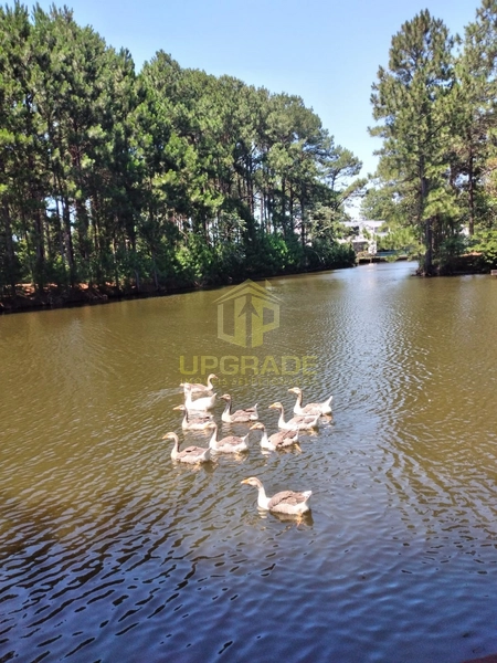 A vida se resume a uma palavra: P-R-A-I-A.: 19ª foto da galeria de imagens do imóvel