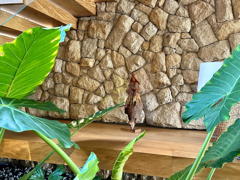 Que todos os nossos passos nos levem para o que nos faz feliz...: 53ª foto da galeria de imagens do imóvel