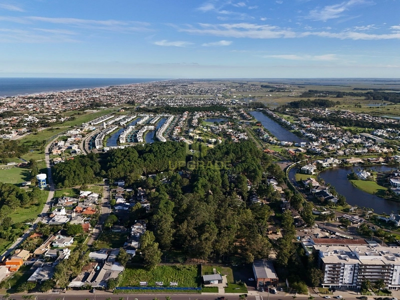 A esperança é o sonho do homem acordado.: 6ª foto da galeria de imagens do imóvel