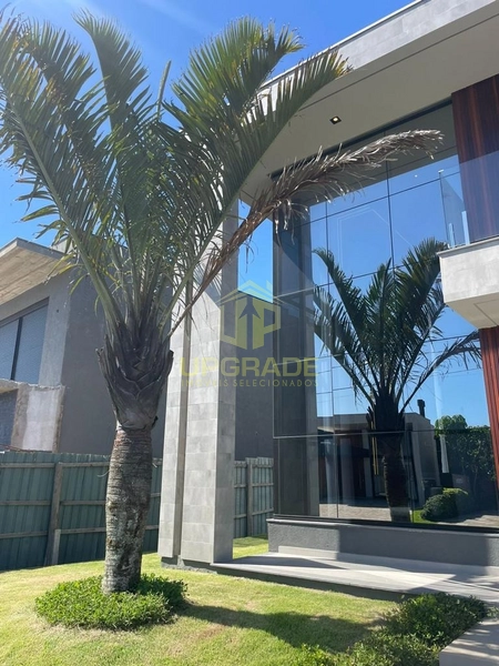 O amor faz da casa um lar!: 5ª foto da galeria de imagens do imóvel