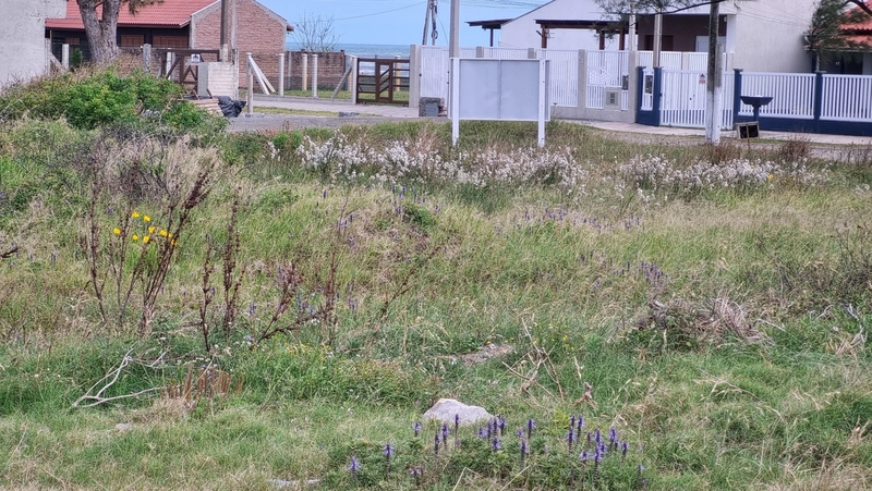 TERRENO ALTO PERTINHO DO MAR: 5ª foto da galeria de imagens do imóvel