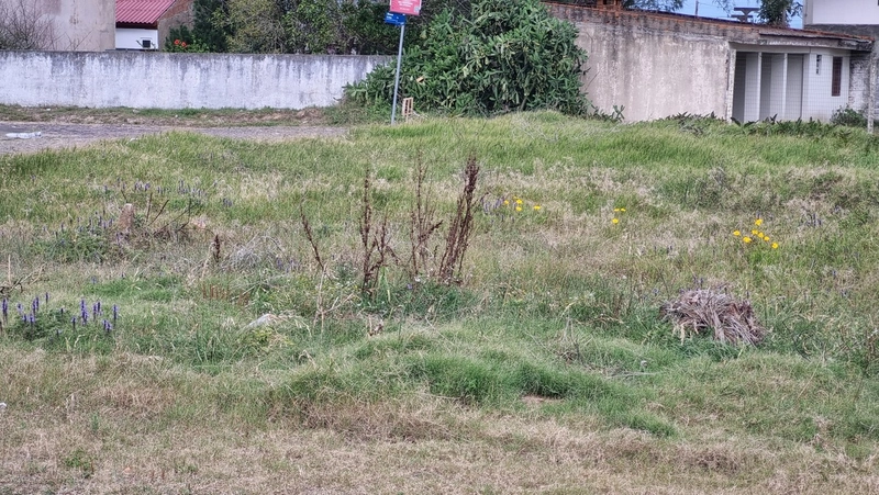 TERRENO ALTO PERTINHO DO MAR: 6ª foto da galeria de imagens do imóvel