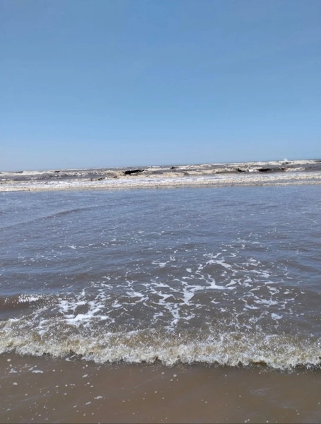 TERRENO FRENTE LESTE NA AV. CANANEIA: 4ª foto da galeria de imagens do imóvel