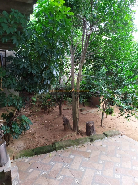 Terreno com duas casas prontas para morar ou locar: 6ª foto da galeria de imagens do imóvel