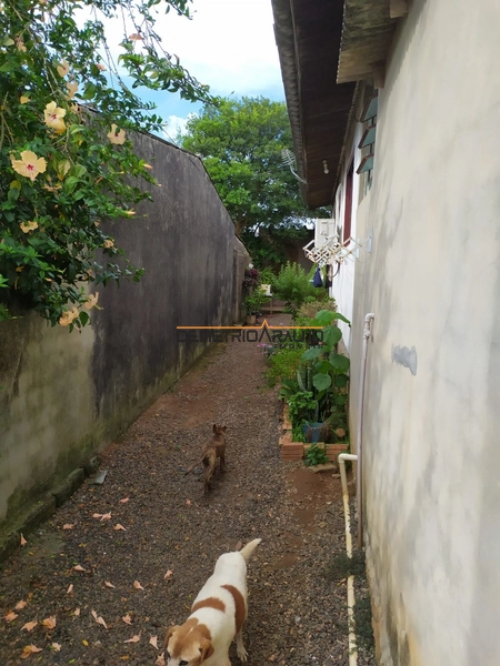 Terreno com duas casas prontas para morar ou locar: 5ª foto da galeria de imagens do imóvel