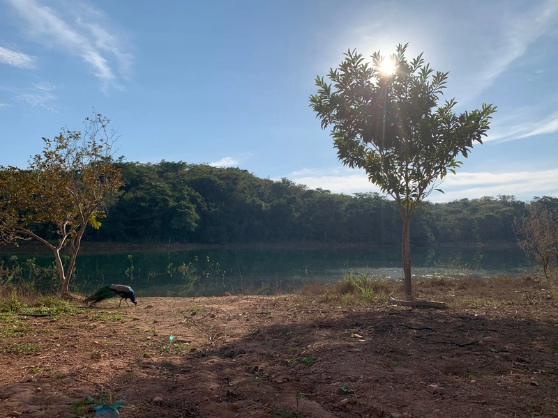 Compre seu Lote no Lago e tenha Lazer para Sempre em Caldas Novas: 20ª foto da galeria de imagens do imóvel