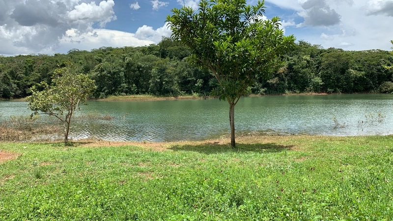 Terreno Número 01 com acesso ao lago no complexo Residencial Genipapo: 24ª foto da galeria de imagens do imóvel