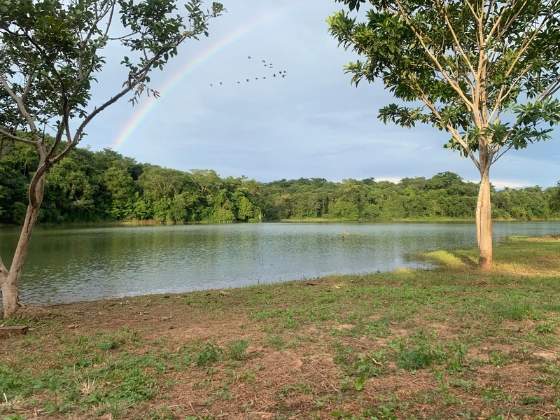 Terreno Número 01 com acesso ao lago no complexo Residencial Genipapo: 19ª foto da galeria de imagens do imóvel
