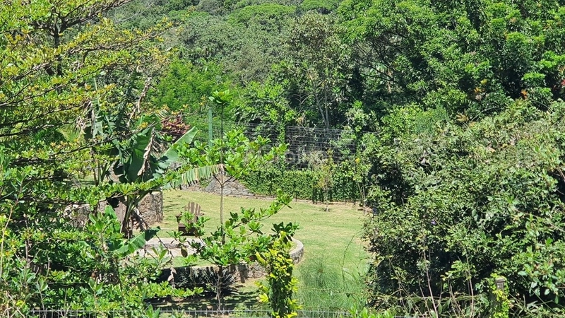 Lindo sítio com 19 hectares em Santo Amaro da Imperatriz: 20ª foto da galeria de imagens do imóvel