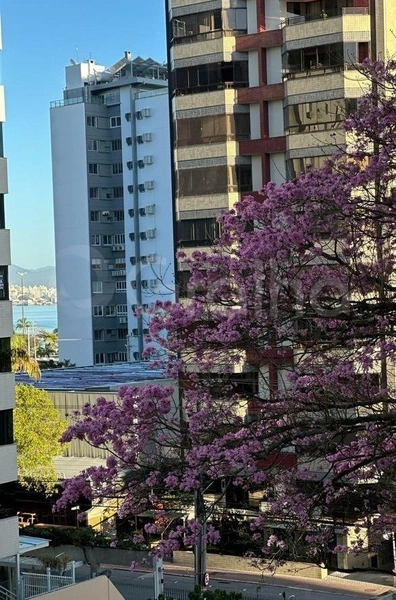 Apartamento de 3 quartos na Rua Bocaiuva, próximo a nova marina: 5ª foto da galeria de imagens do imóvel