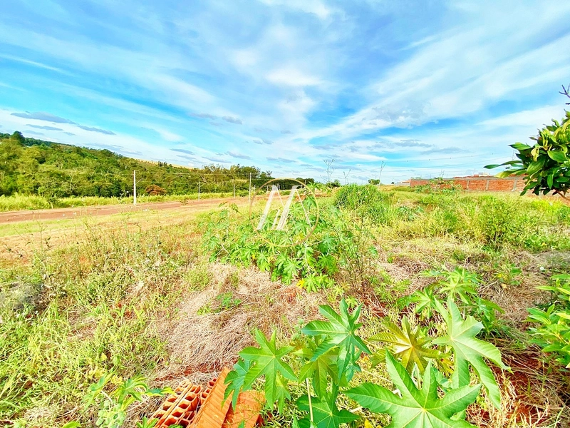 Terrenos à venda com 310m² no Jardim Moriá, em Rolândia: 3ª foto da galeria de imagens do imóvel