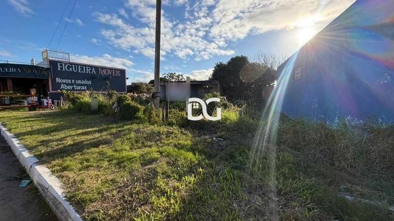 Terreno localizado em avenida principal: 1ª foto da galeria de imagens do imóvel
