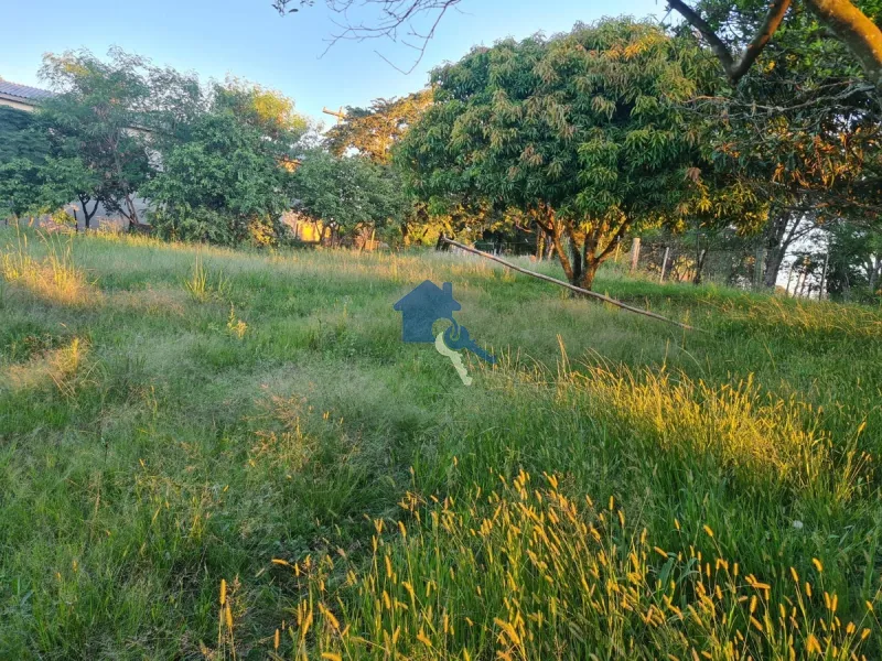 Chácara em Dilhermando de Aguiar 25 Km da Tancredo Neves: 6ª foto da galeria de imagens do imóvel