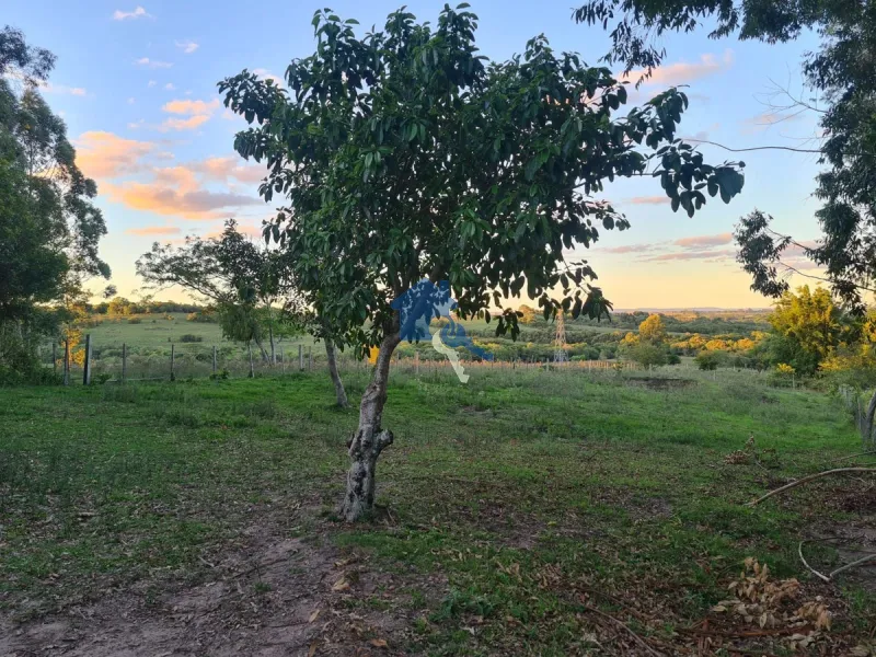 Chácara em Dilhermando de Aguiar 25 Km da Tancredo Neves: 9ª foto da galeria de imagens do imóvel