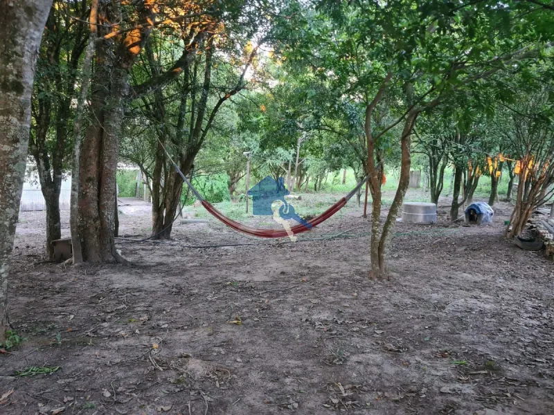 Chácara em Dilhermando de Aguiar 25 Km da Tancredo Neves: 7ª foto da galeria de imagens do imóvel