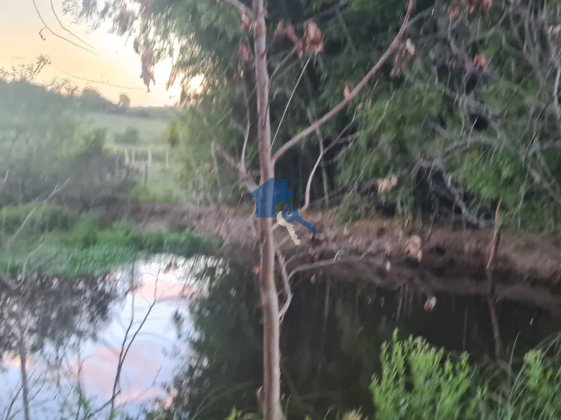 Chácara em Dilhermando de Aguiar 25 Km da Tancredo Neves: 2ª foto da galeria de imagens do imóvel