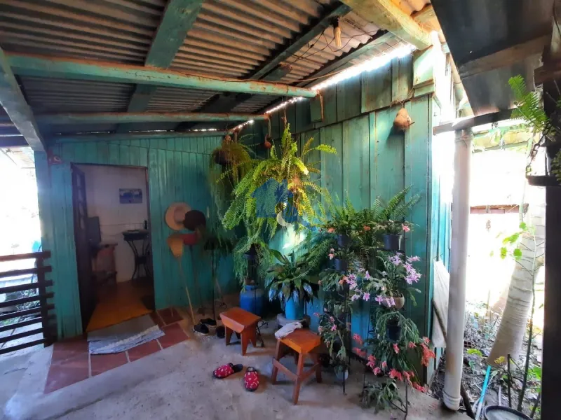 Sitio do Beija Flor Pains, Santa Maria - RS: 24ª foto da galeria de imagens do imóvel