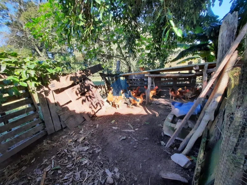 Sitio do Beija Flor Pains, Santa Maria - RS: 31ª foto da galeria de imagens do imóvel
