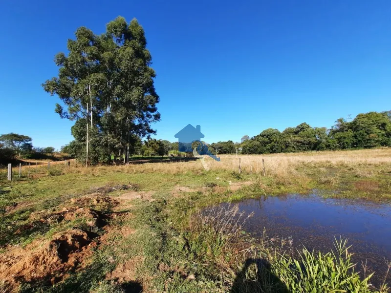 Sitio do Beija Flor Pains, Santa Maria - RS: 39ª foto da galeria de imagens do imóvel