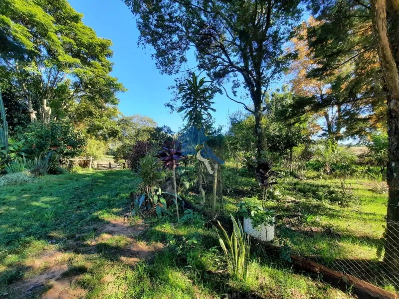 Sitio do Beija Flor Pains, Santa Maria - RS: 13ª foto da galeria de imagens do imóvel