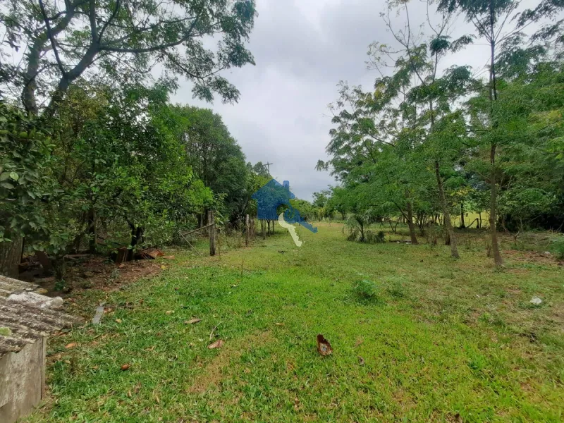 Chácara 5 km da UFSM / Estr. Pedro Fernandes Silveira - Arroio do Só: 14ª foto da galeria de imagens do imóvel