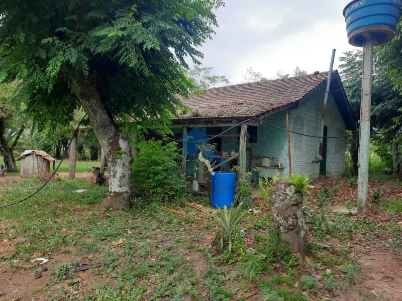 Chácara 5 km da UFSM / Estr. Pedro Fernandes Silveira - Arroio do Só: 13ª foto da galeria de imagens do imóvel
